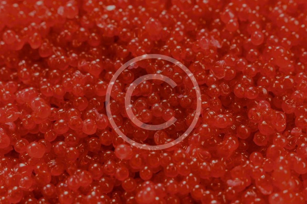 Products_10.jpg