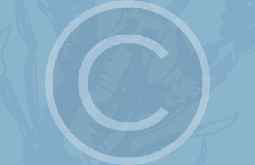 banner_1.png