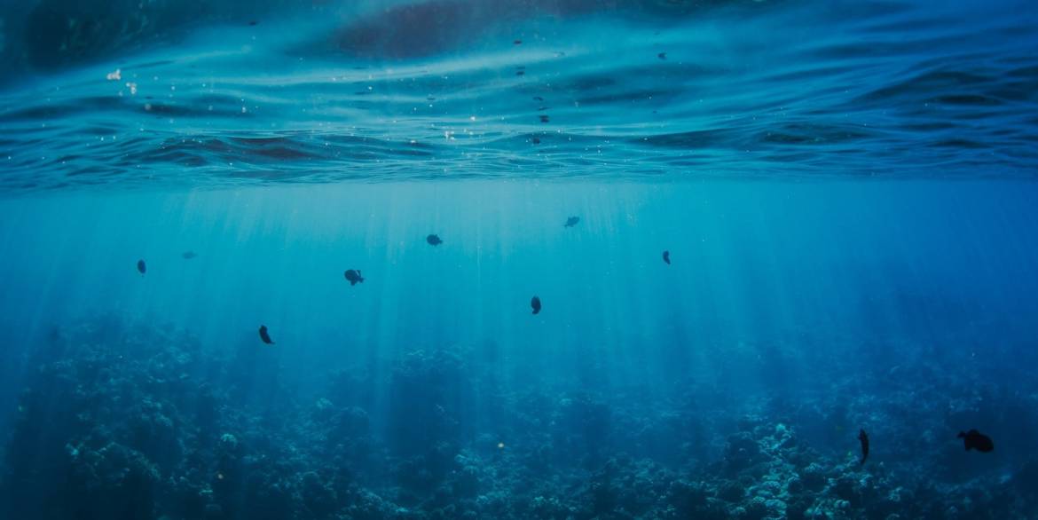 underwater-PWKWX5A-min.jpg