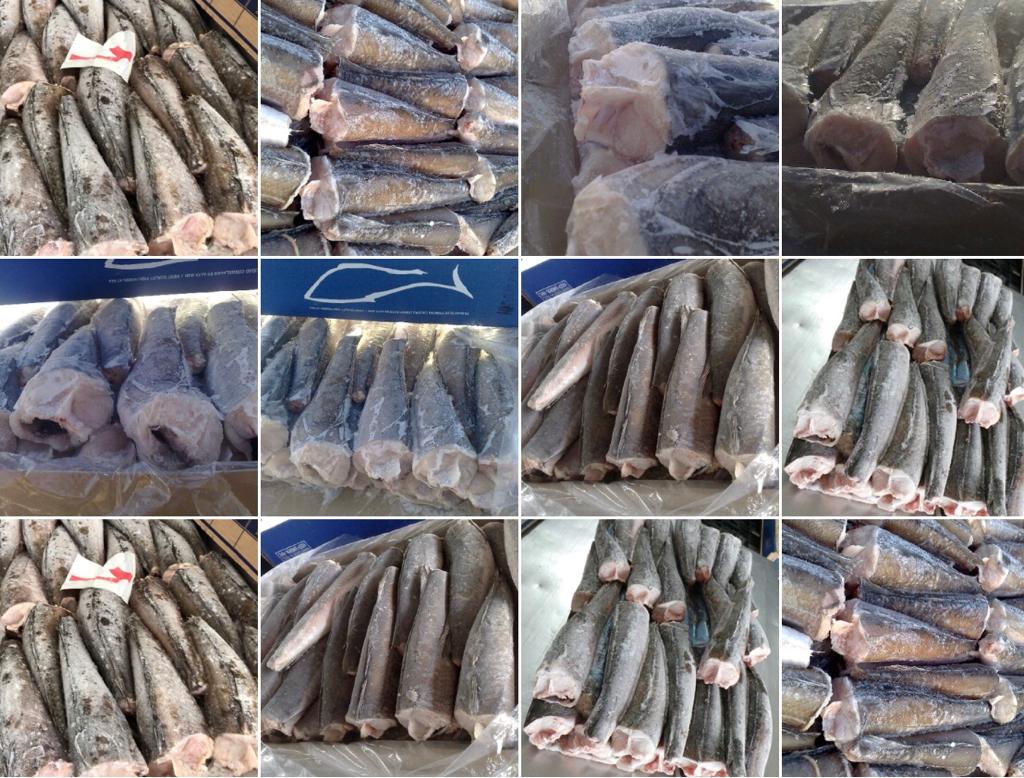 Sea-Frozen-HAKE-HGT-2.jpg