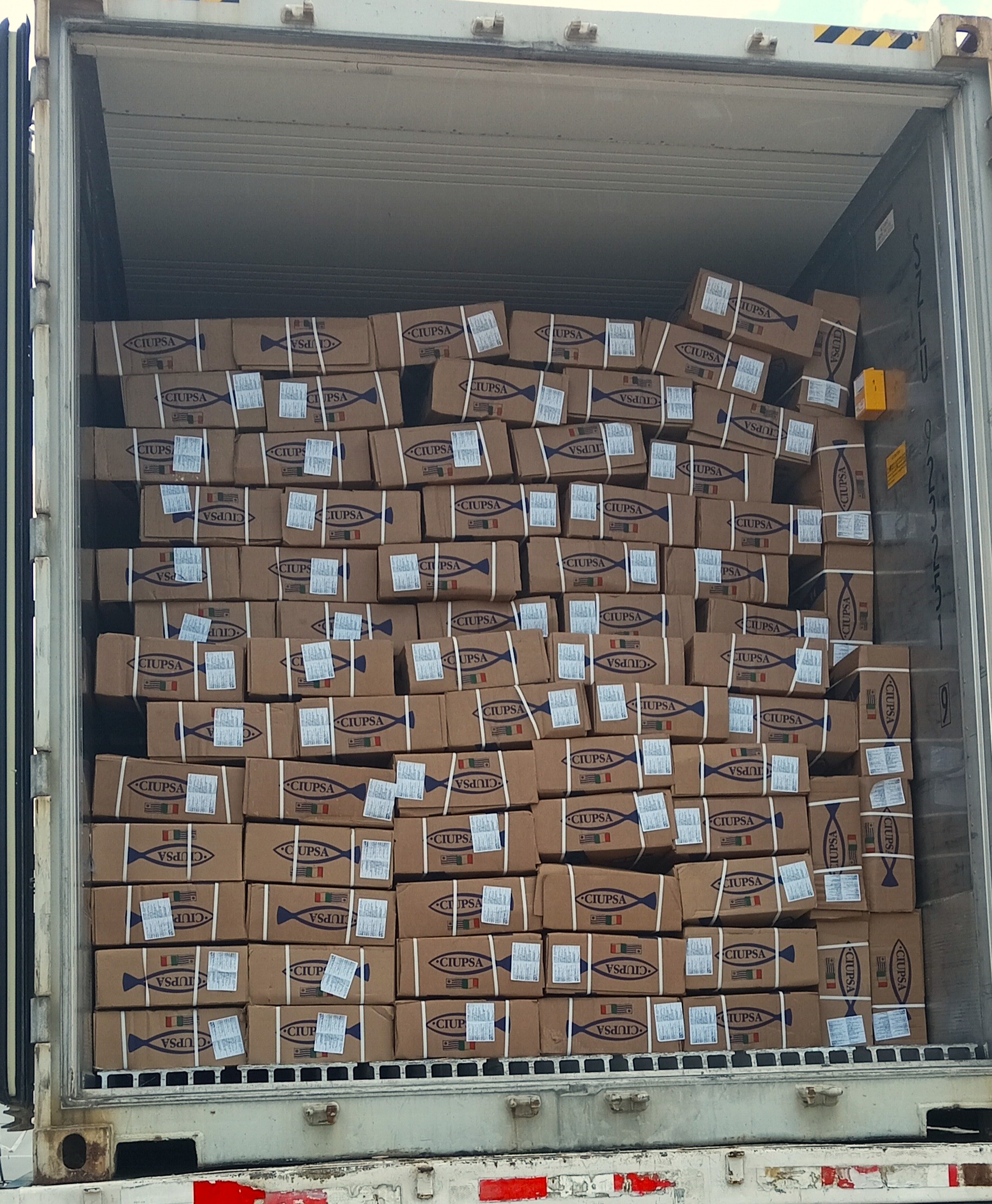 Export